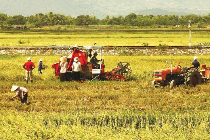 Phát triển kinh tế, đầu tư cho nông nghiệp: hai quan tâm lớn của đại biểu Quốc hội - ảnh 1